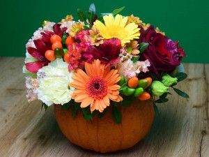 Vibratii de toamna Vibratii de toamna